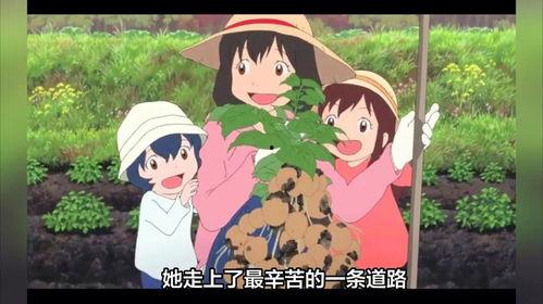 动漫电影推荐小众,小众佳作盘点